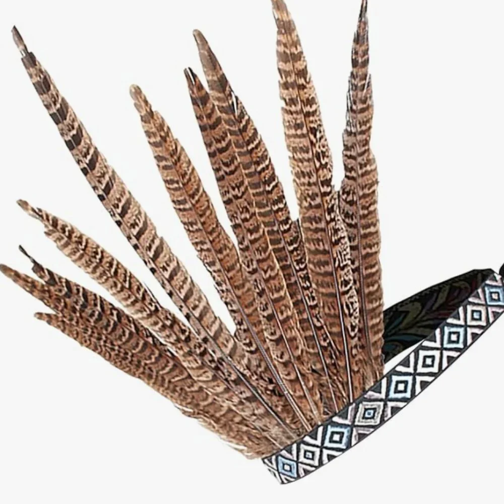 Indian Peacock Decorative Feather